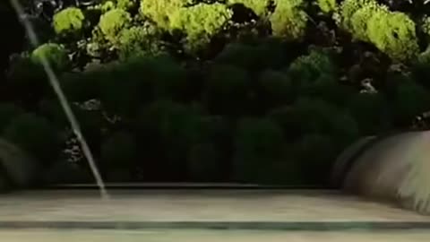This Scene Broke the Internet 😳 Wait for 0:35