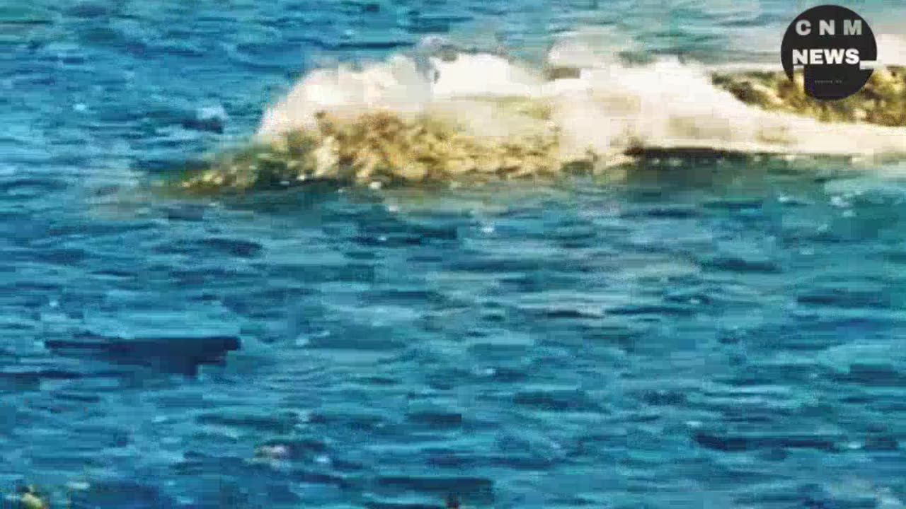 She was saved at the last moment.
