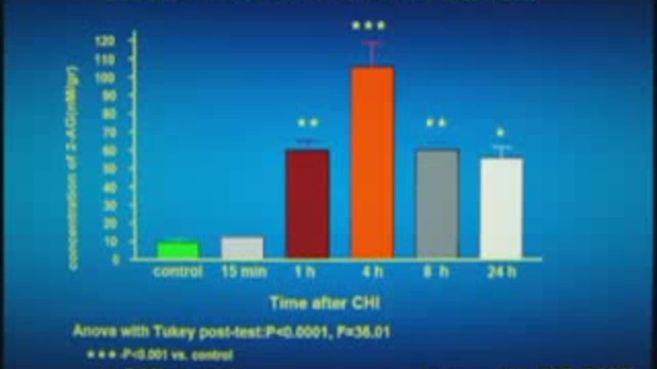 Cannabinoid System in Neuroprotection - Raphael Mechoulam
