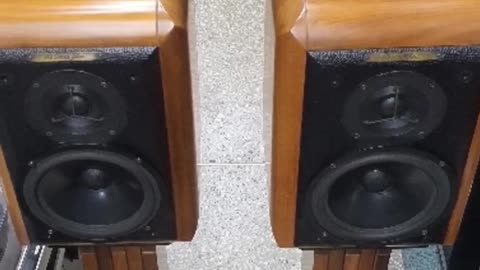 Sonus Faber Minuetto Speaker