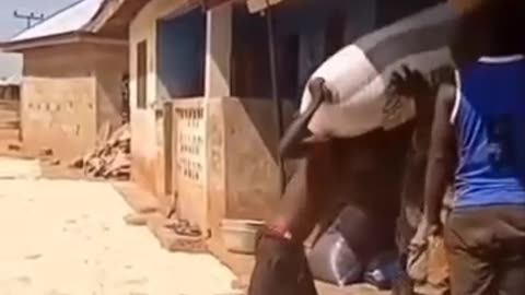 Survival of the fittest