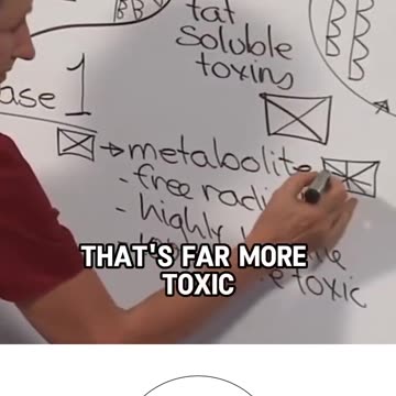 Antioxidants play a crucial role in maintaining liver health, but do you know why?