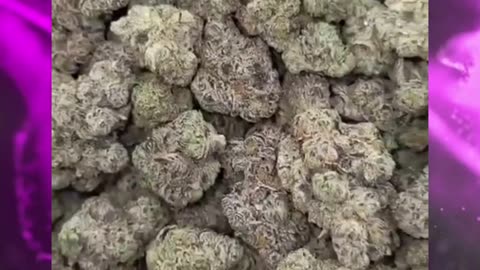 Gas Face | Exotic Indica | 28% THCa | Heavy Hitter | Limonene, Diesel Terps #thcareview #hempflower