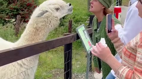 Now i know to skip them at the zoo 😂