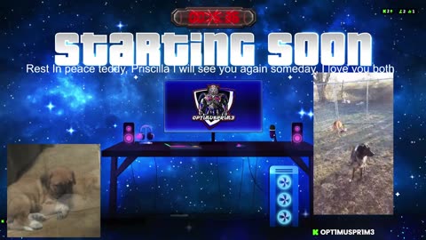 first rumble stream