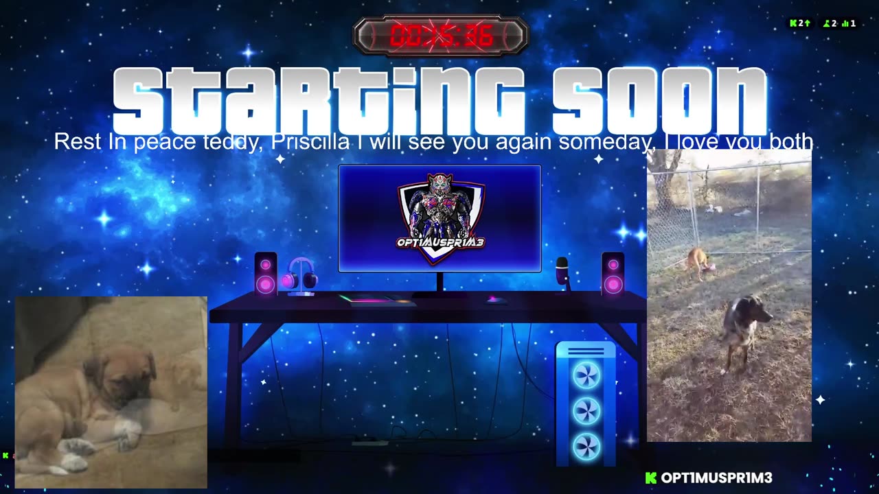 first rumble stream