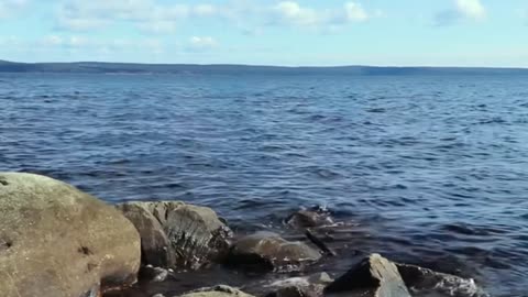 Calming Music for Anxiety and Depression – Soothing Nature Sounds for Stress Relief & Sleep