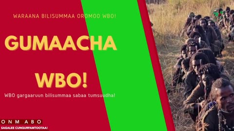 Gabaasa Gumaacha ONM-ABO Fulbaana 24-2025 itti dhiyaadhaa!