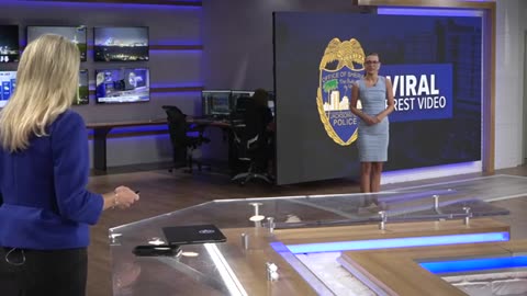 Former prosecutor reacts to release of bodycam video of viral Jacksonville traffic stop arrest