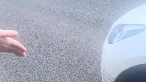 😳🚗 DOUBLE Accident Chaos! Wait For It... | FunFM