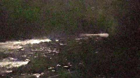 👻😱 Creature Speaks in Unknown Tongue! | TheHauntingHour