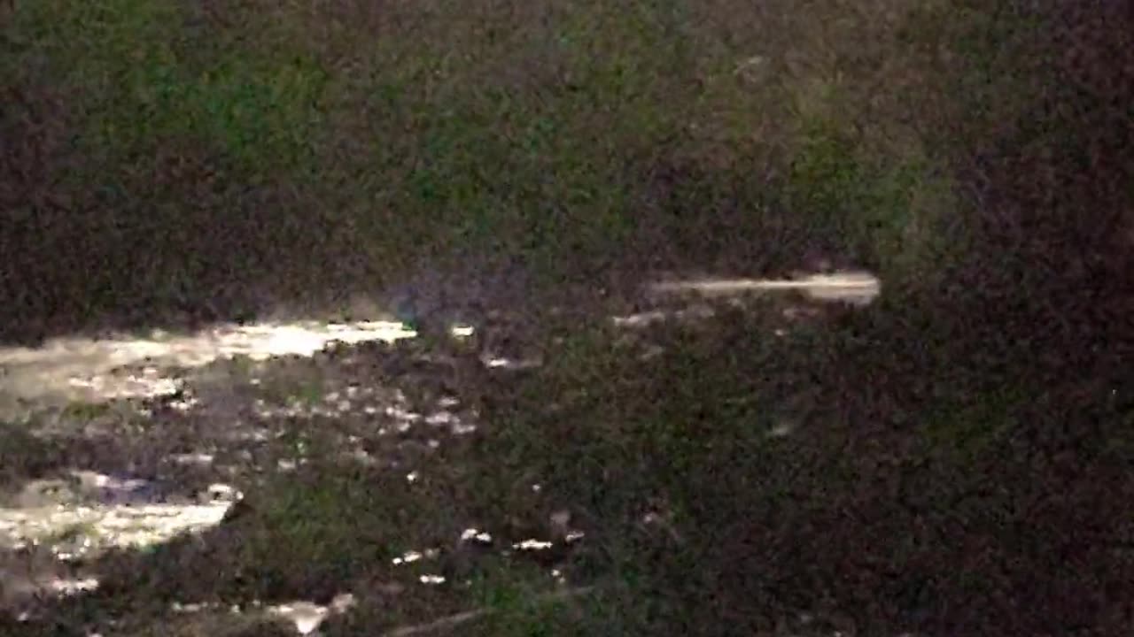 👻😱 Creature Speaks in Unknown Tongue! | TheHauntingHour