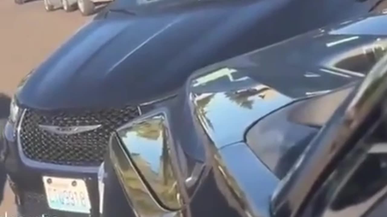 The traps are all set.