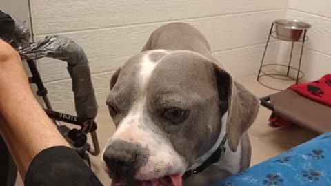 Sheldon 9y A859258 @TRN I do like moments where he's not breathing heavy A calmer loving20250803473