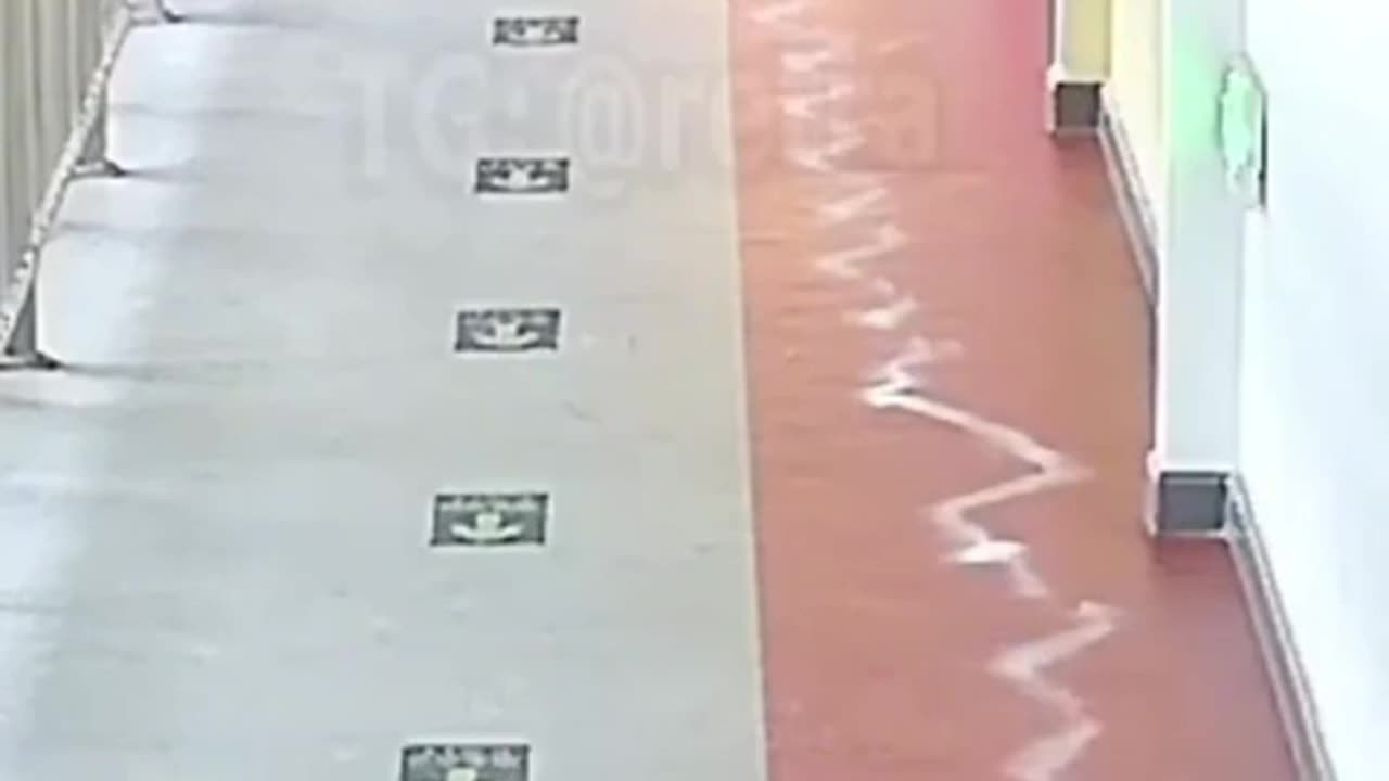 😂🐾 These Animals Are Following The WRONG Trails! | FunFM