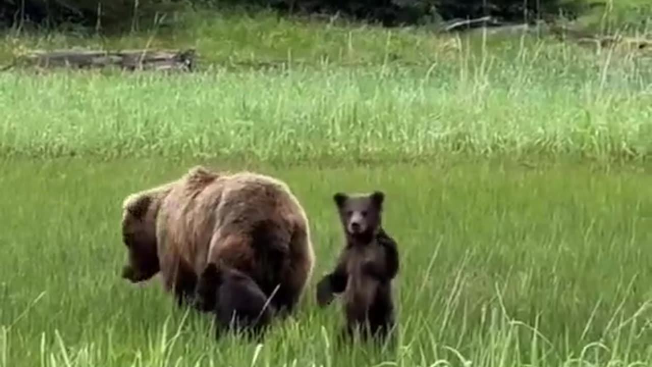 How precious to see that 😍
