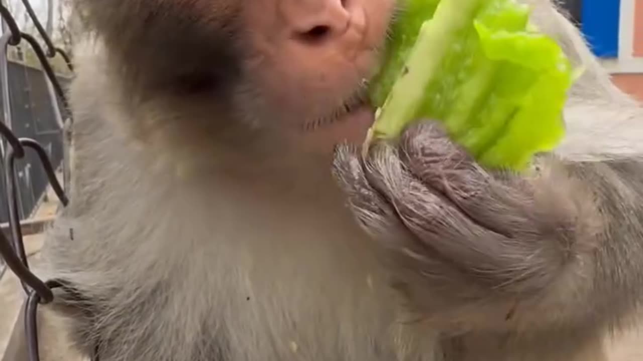 ?