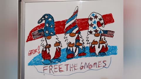 Free The Gnomes