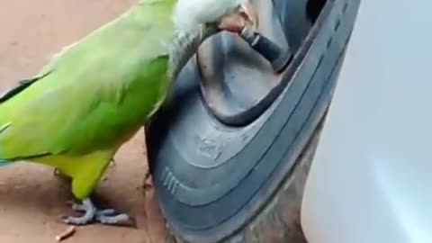 This is bad hehehehe.