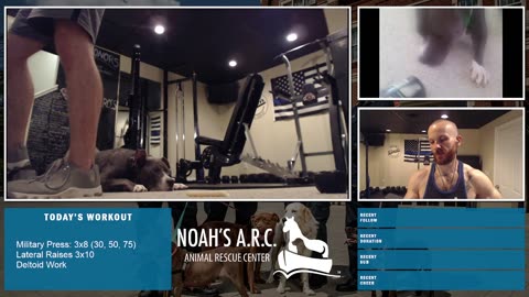 LBL Session w/Hank-a-Tank [HAPPY Week 20!] - Shoulders // Animal Rescue Stream :)