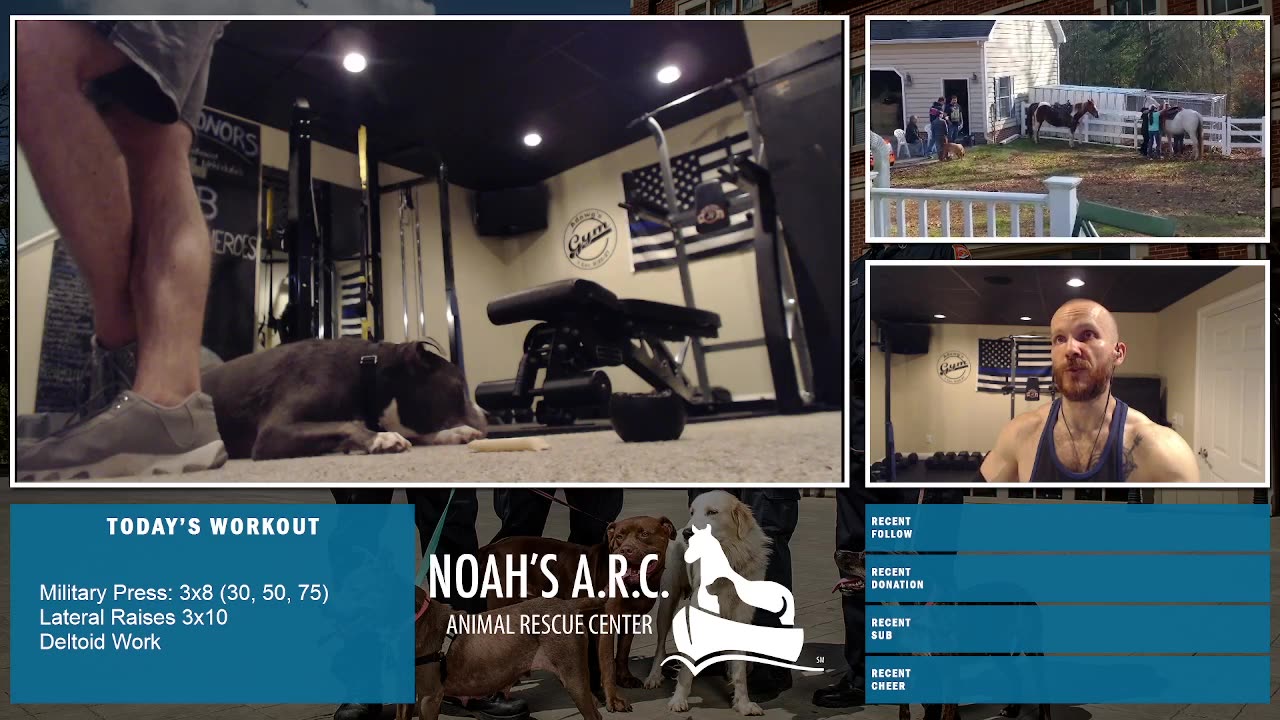 LBL Session w/Hank-a-Tank [HAPPY Week 20!] - Shoulders // Animal Rescue Stream :)