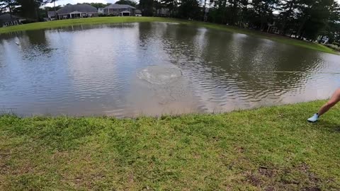 Topwater ONLY Day of Pond Fishing!