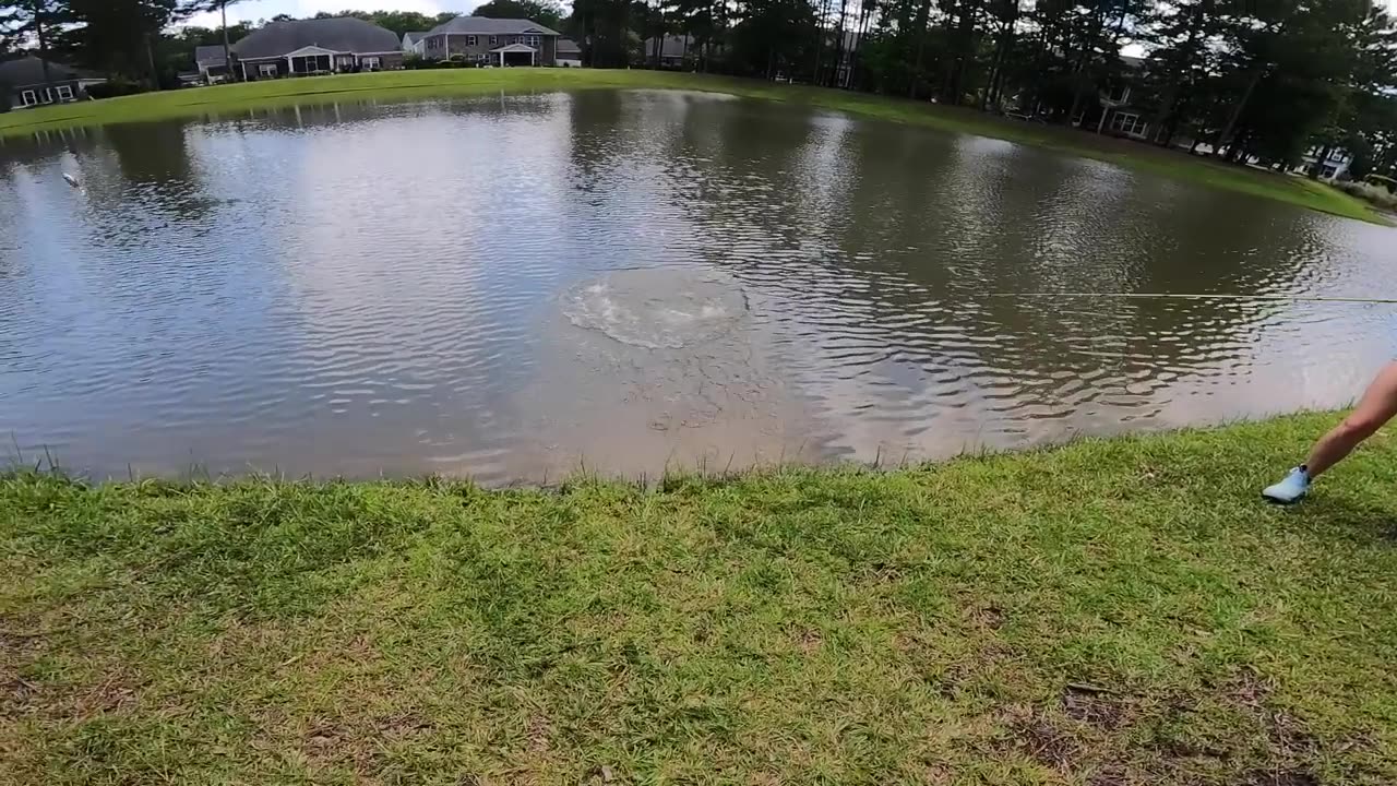 Topwater ONLY Day of Pond Fishing!