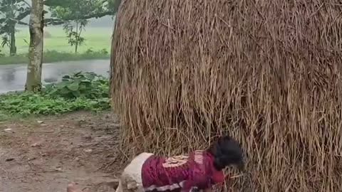 Funny Video (Follow My Channel)