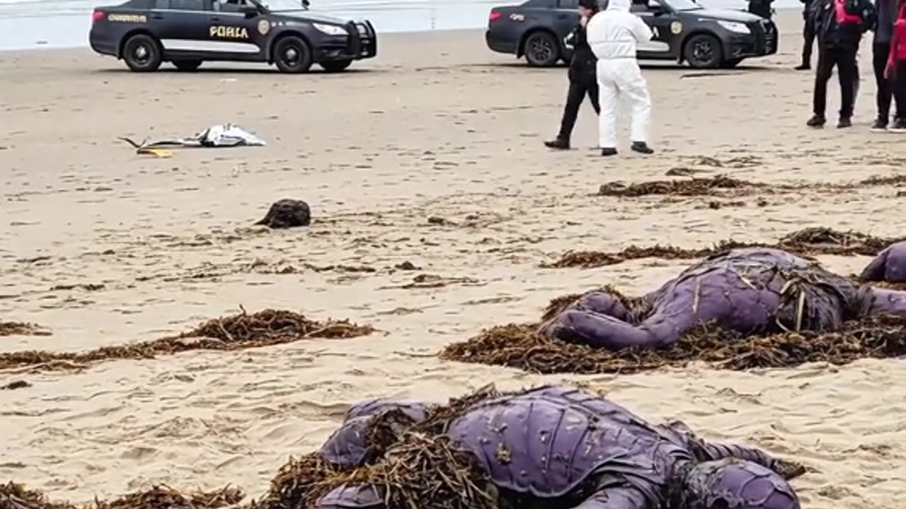 polloai0111 - #aliens #extraterrestrial #ufo #ufosighting #mysterious #fyp