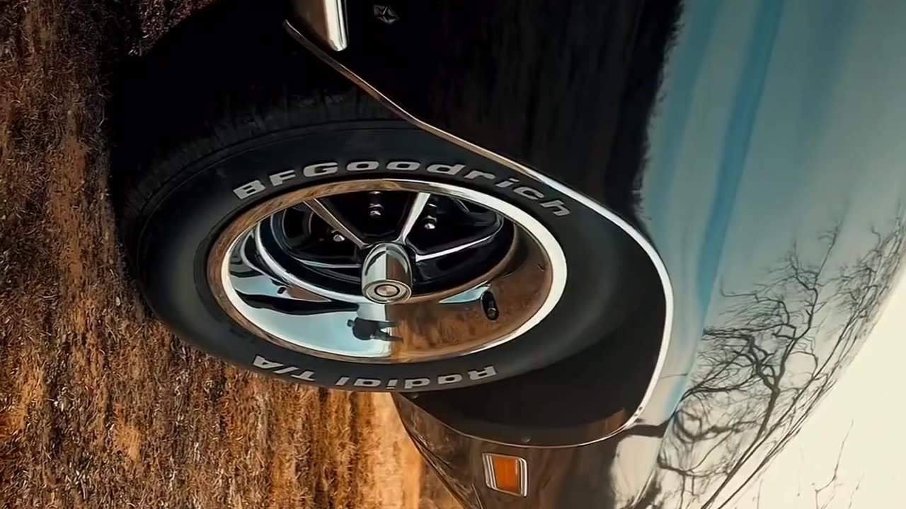 Speed Kings | Super Cars & Bikes in Action 🚗💨