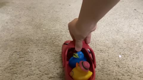 Things you can do with one Croc aka Croc jet
