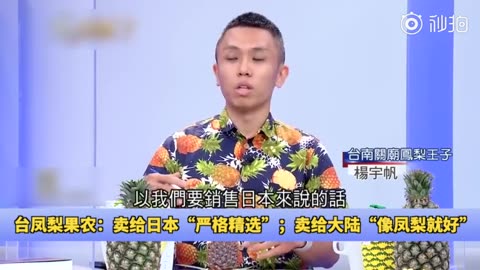 台湾凤梨果农：卖给日本“严格精选”；卖给大陆“像凤梨就好”