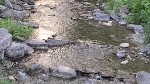Treman State Park: The end of the rim trail!