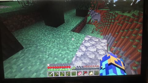 Minecraft: The Top of The Mountain and Hunting Pigs. Thursday, May 1, 2025