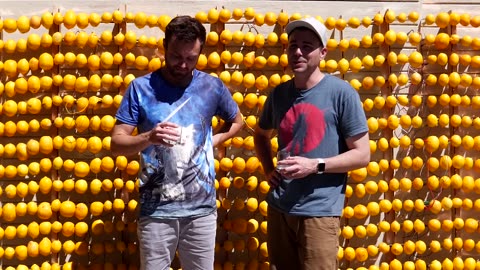 World's Largest Lemon Battery