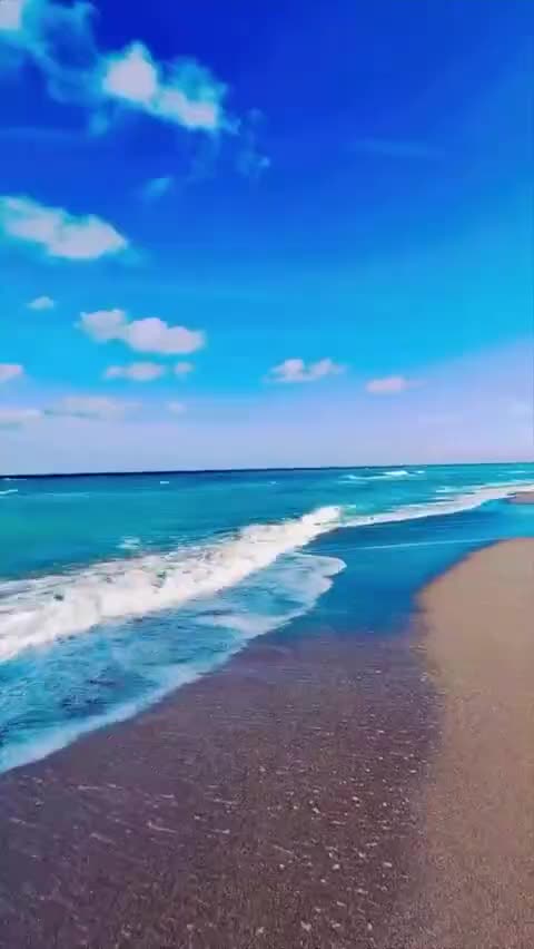 22 Dec 2025 - Dan Scavino's dropping clues again...(Read Description)