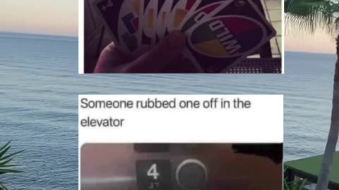 #funny #memes #fyp