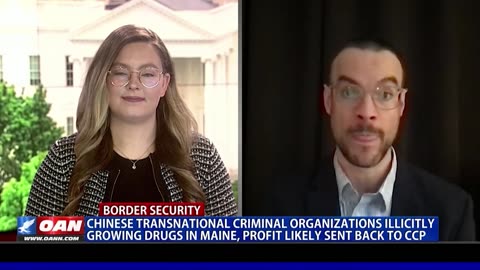Chinese Drug Wars In Maine