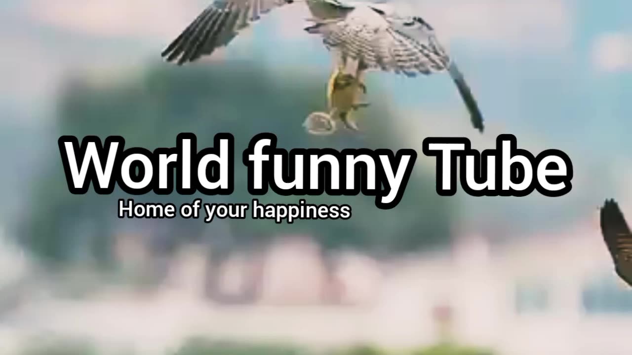 You will never stop laughing after watching this video