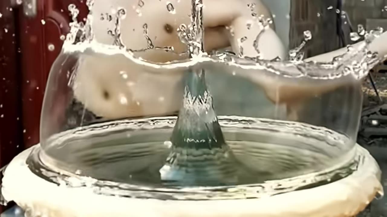 🤯✨ Unlock the Secret to Effortless Cooking with This Genius Hack! | LifeHacksDaily