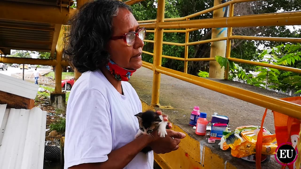 La esperanza de los gatos del puente de Los Caracoles
