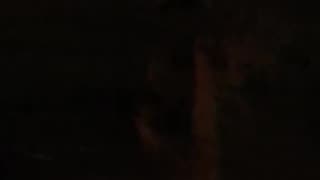 Caught 3 NGOS building Tent City is this time, it's popping up in the dark and gone by