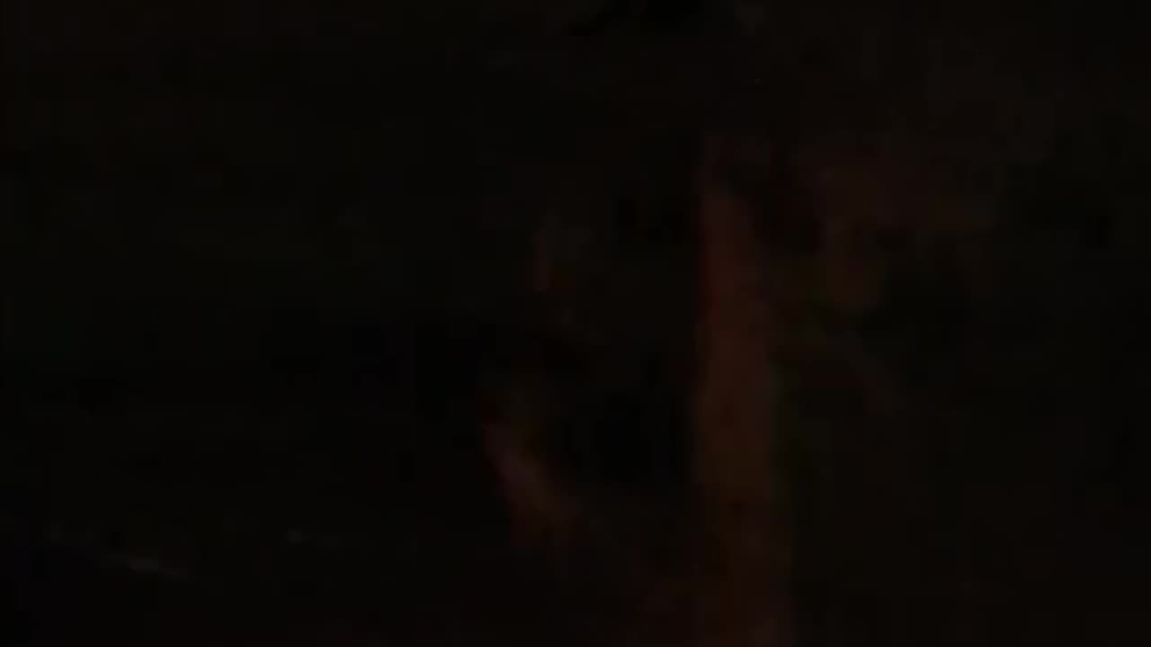 Caught 3 NGOS building Tent City is this time, it's popping up in the dark and gone by