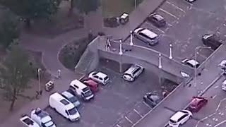 Terror attack in Bondi Alleged Bondi gunmen father and son, police say Stuff.co.nz