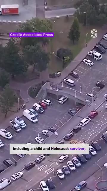 Terror attack in Bondi Alleged Bondi gunmen father and son, police say Stuff.co.nz