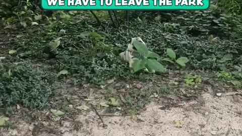 😂🏞️ When It's Time to Leave the Park... | FunFM