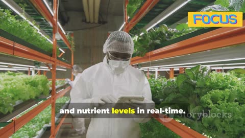 Vertical Farms: Urban Oasis for Future Food