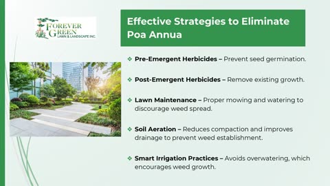 How to Remove Poa Annua from Your Commercial Property This Spring