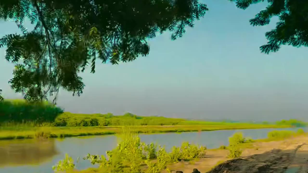 Fresh Air, Open Fields #maxrecords #larkana #sindh #pakistan