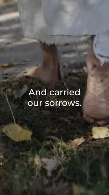 Inspiring Bible Verses: Healed by His blood!